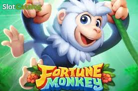 Fortune Monkey
