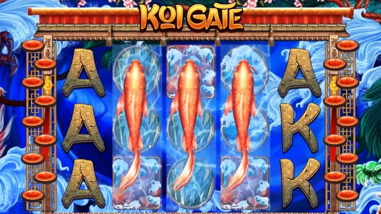slots koi gate