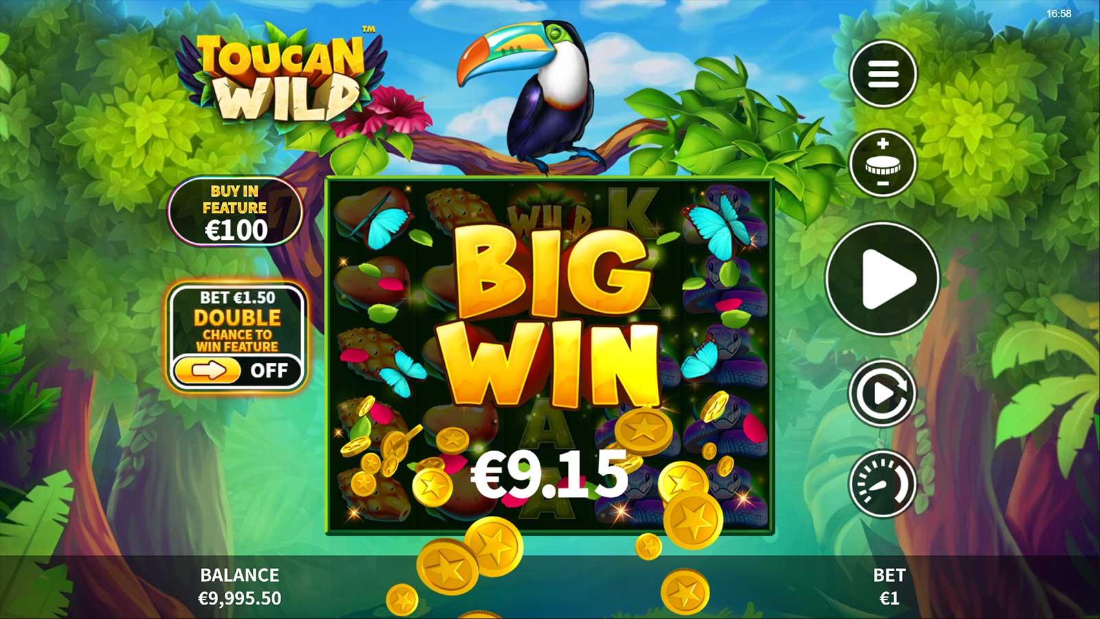 toucan wild slot