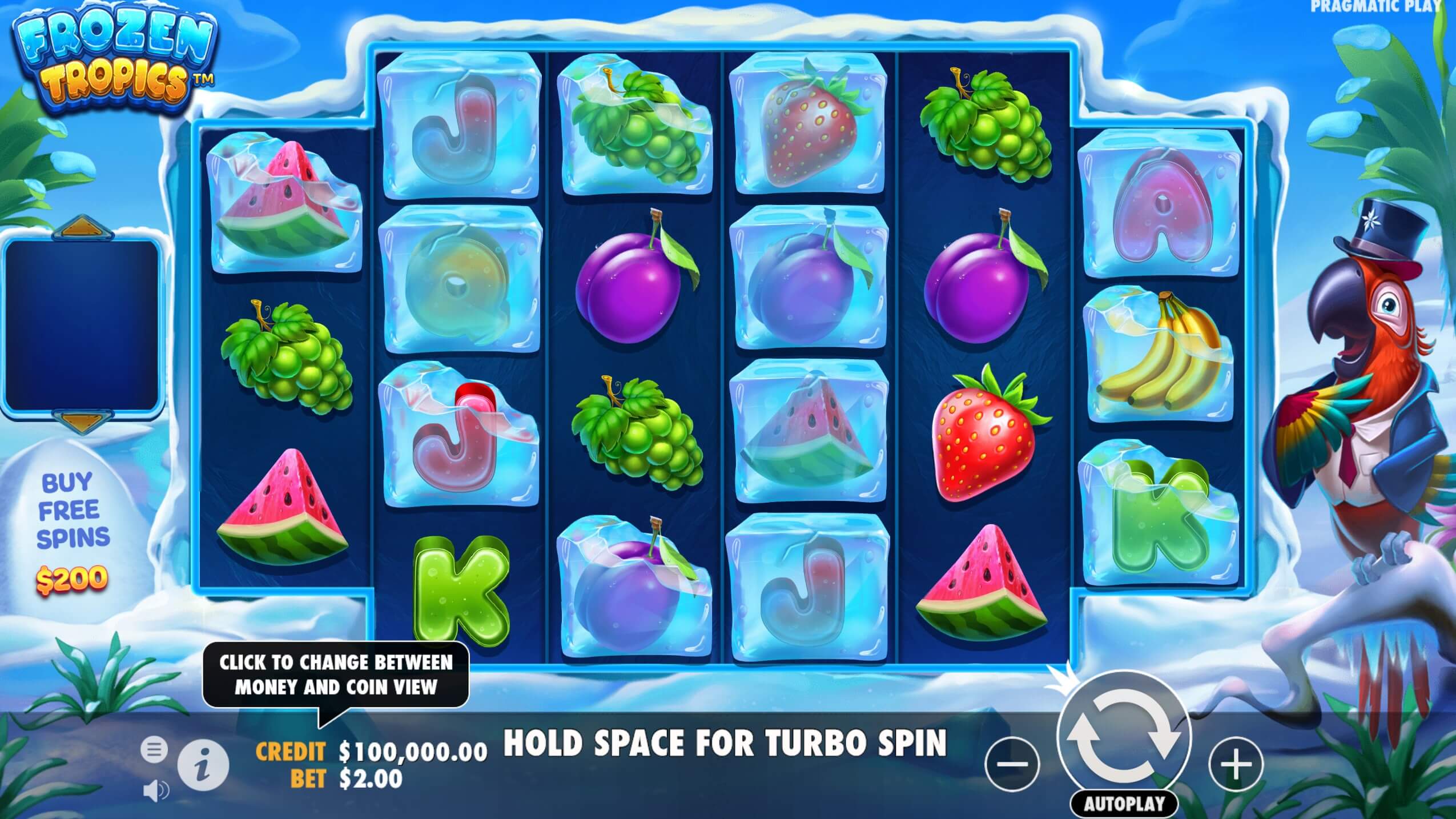Frozen Tropics Slot