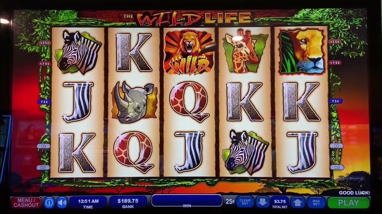 The Wild Life Slot