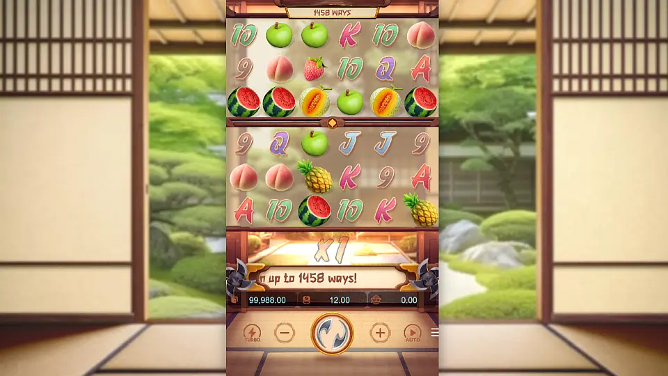 Ninja Raccoon Frenzy